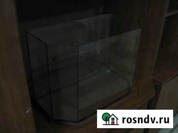 Аквариум Ижевск - изображение 1