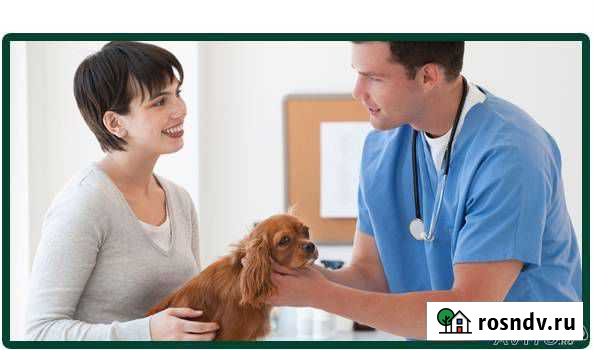 Скорая ветеринарная помощь Самара - изображение 1