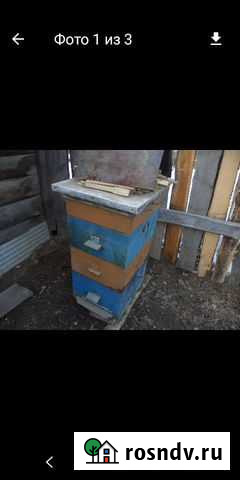 Улики Кутулик - изображение 1