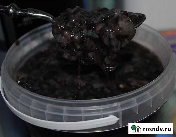 Трепанг на меду 1 литр Красноярск - изображение 1