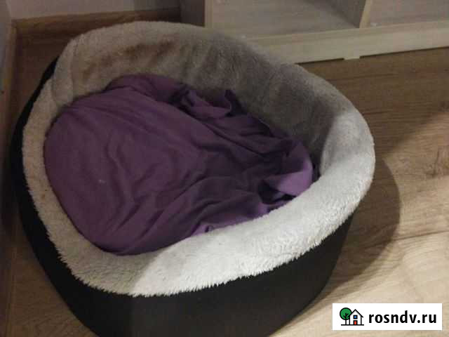 Лежанка для кошек/маленьких собак Маркова - изображение 1