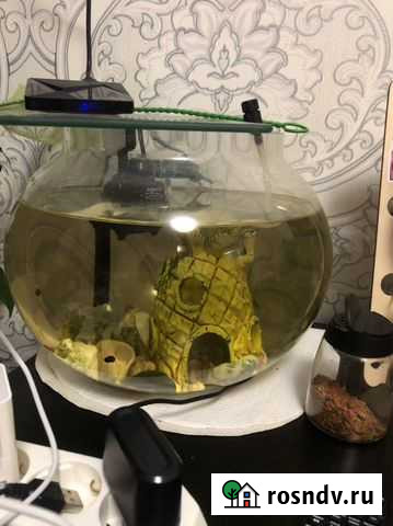 Аквариум с рыбками Тихвин - изображение 1