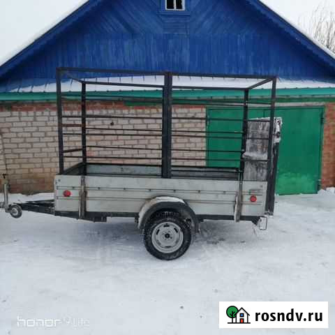 Аренда.,перевозка скота Асекеево - изображение 1