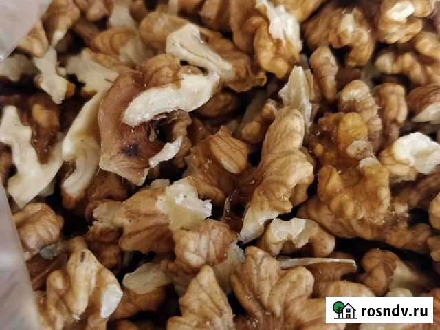 Орех грецкий Новочеркасск - изображение 1