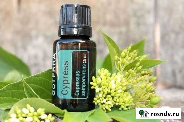 Эфирное масло doterra Кипарис, Cypress, 15 мл Севастополь - изображение 1