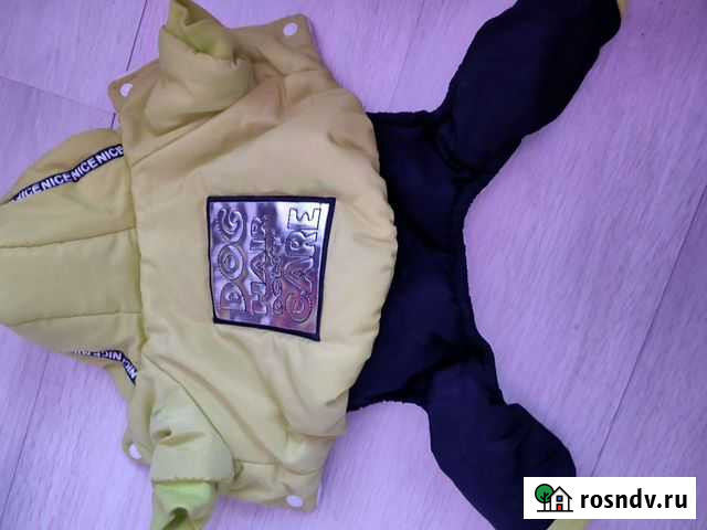 Комбенизон для маленькой собаки Дмитров - изображение 1