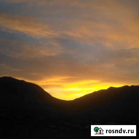 Корова не отел 2 года Гергебиль - изображение 1