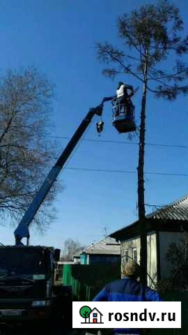 Спил деревьев по частям Черногорск - изображение 1