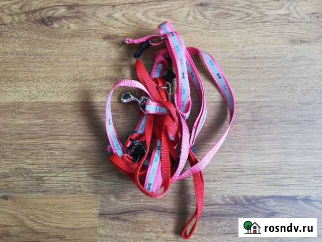 Поводок для выгула кошки Темрюк - изображение 1