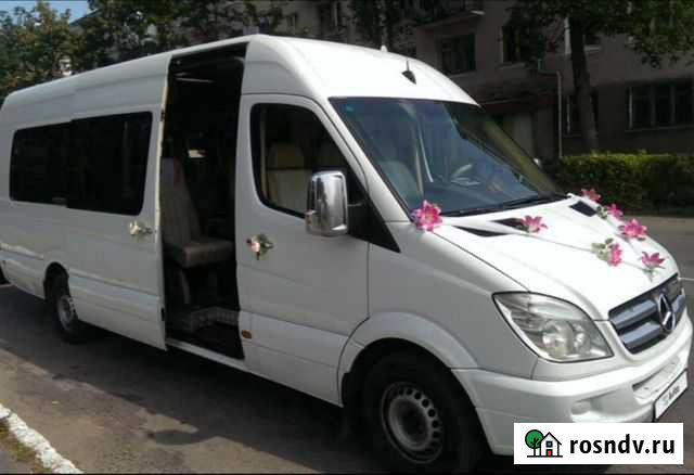 Пассажирские перевозки Вязьма - изображение 1