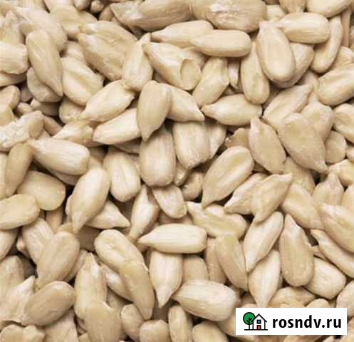 Ядро подсолнуха, Семечки, Подсолнечник для Урбеча Кизилюрт - изображение 1