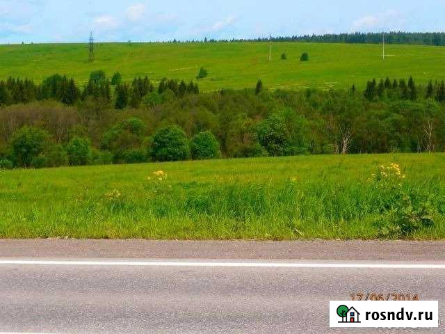 Участок СНТ, ДНП 258 сот. на продажу в Лысьве Лысьва - изображение 1