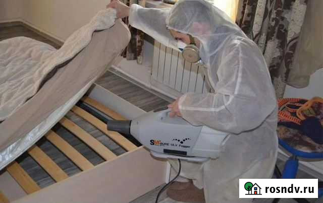 Уничтожение клопов тараканов плесени. Дезинсектор Екатеринбург - изображение 1