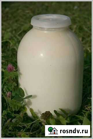 Молоко домашнее Кропоткин - изображение 1