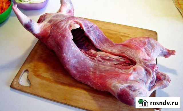 Мясо нутрии Борисоглебск - изображение 1