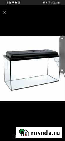 Аквариум Зея - изображение 1