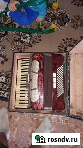 Акордион Ростов-на-Дону - изображение 1