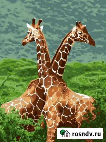 Картина по номерам VA-3082 (VA-3082) Владимир - изображение 1