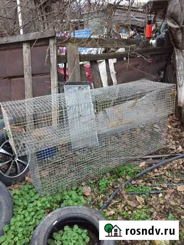 Клетка для птиц Каневская - изображение 1