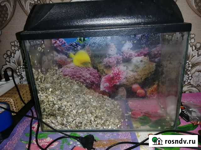 Аквариум Набережные Челны - изображение 1