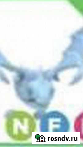 Продам пета Санкт-Петербург - изображение 1