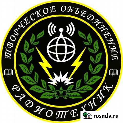 Радиотехник Мичуринск - изображение 1