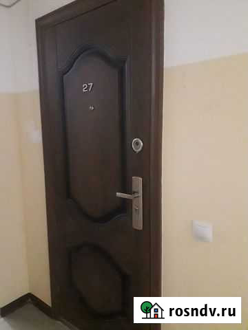 Дверь Пенза - изображение 1