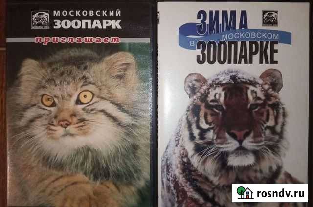 Московский зоопарк на 2 DVD Ярославль - изображение 1