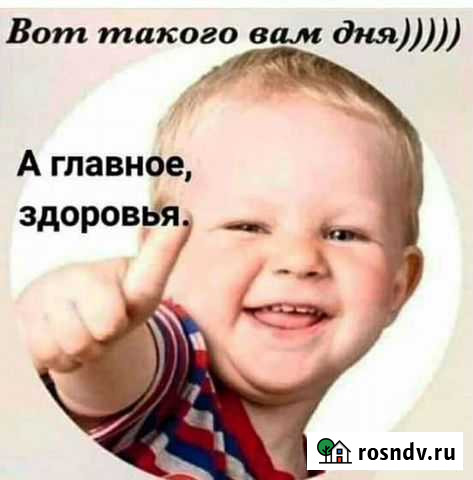 Штукатурка цементная Почеп - изображение 1