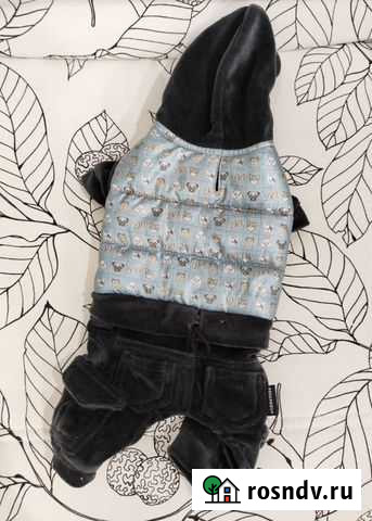 Одежда для животных Богородицк - изображение 1