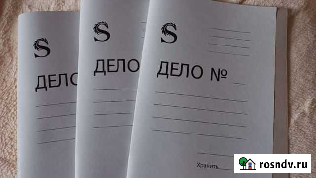 Папка скоросшиватель дело Долгопрудный - изображение 1