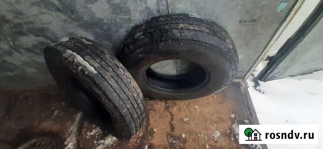 Шины Кострома - изображение 1