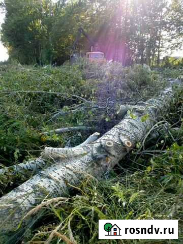 Спил (спиливание) деревьев Вологда - изображение 1