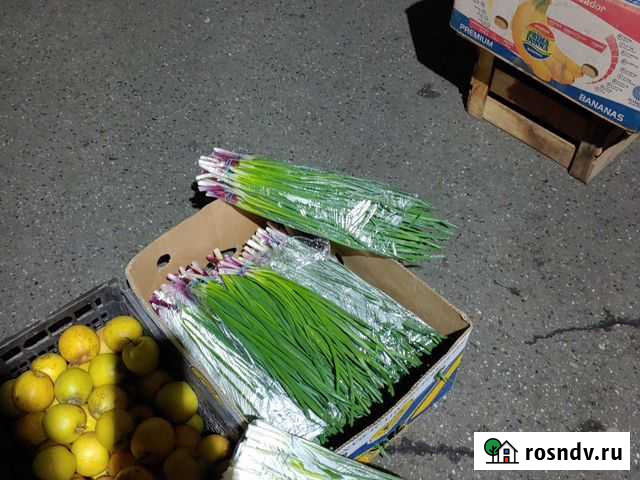 Зелёный лук Новомышастовская - изображение 1