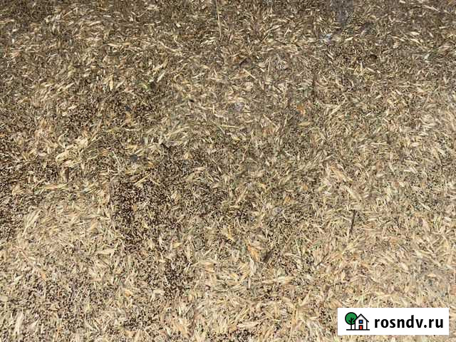 Корм для животных Магнитогорск - изображение 1