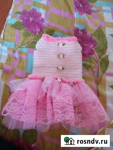 Платье для мини собачки Светлый - изображение 1