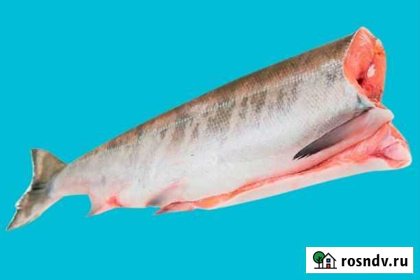 Кета(рыба) -Новый улов 2021 Сахалин.Доставка от 1к Красногорск - изображение 1