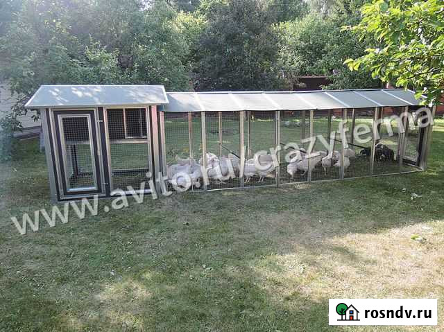 Выгул куриный Лобня - изображение 1