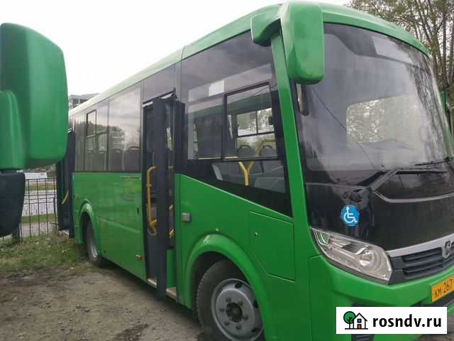 Городской автобус ПАЗ Вектор Next, 2018 Екатеринбург - изображение 1