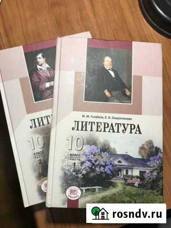 Учебник по литературе 10 класс Мичуринск - изображение 1
