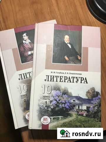 Учебник по литературе 10 класс Мичуринск - изображение 1