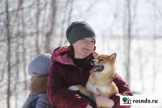 Передержка животных Щекино