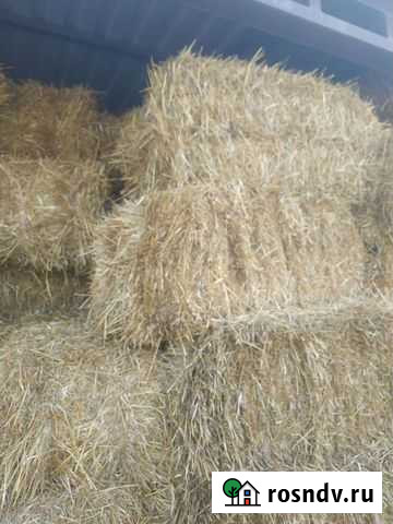 Солома в тюках Красное - изображение 1