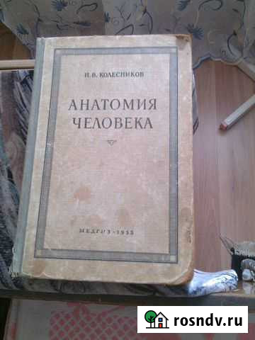 Книга Анатомия человека 1955год издания Азов - изображение 1