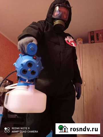 Уничтожение клопов, тараканов, блох, плесени, ос Петушки - изображение 1