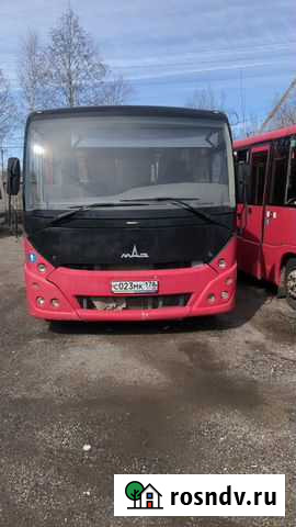 Междугородний / Пригородный автобус МАЗ 241, 2014 Тосно - изображение 1