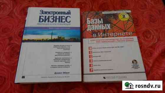 Базы данных в Интернете,Электронный бизнес Набережные Челны