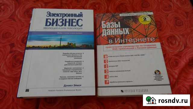 Базы данных в Интернете,Электронный бизнес Набережные Челны - изображение 1