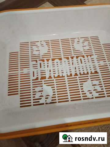 Лоток для кошек Тихорецк - изображение 1