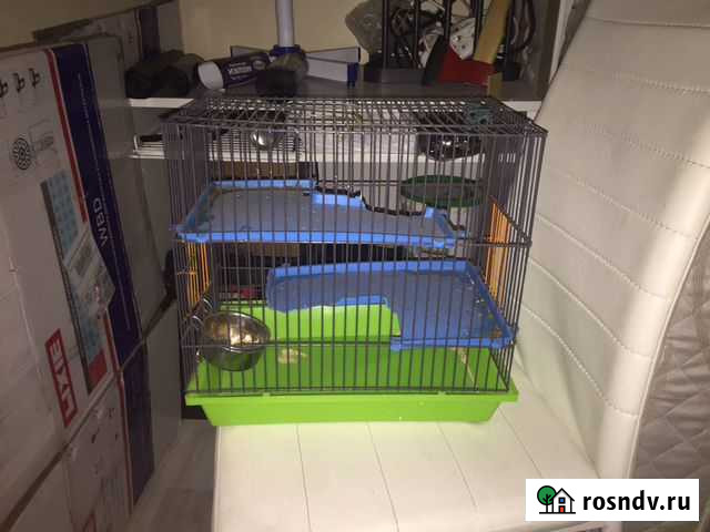 Клетка Яблоновский - изображение 1